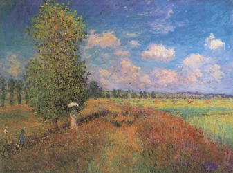 Sommer Klatschmohnfeld